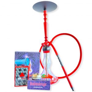 PACK ERASMUS CUPIDO