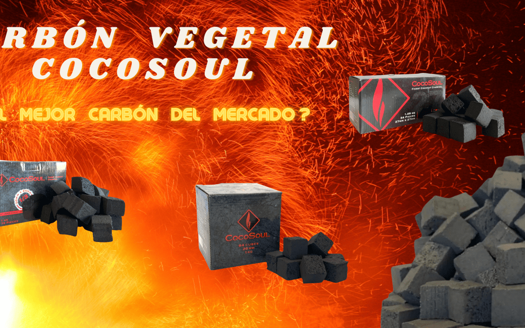 CARBÓN VEGETAL COCOSOUL
