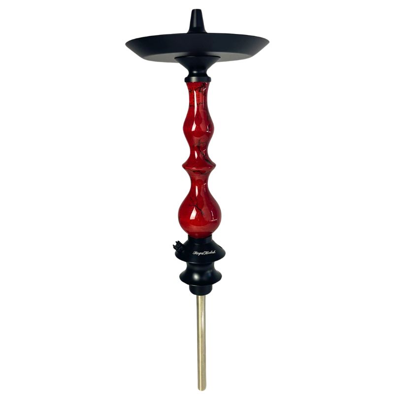 REGAL QUEEN ART ZEUS RED