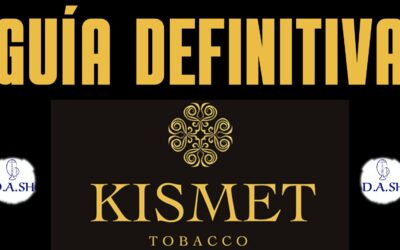 GUÍA DEFINITIVA KISMET