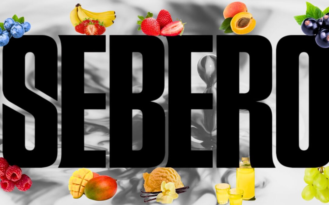 GUÍA DEFINITIVA SEBERO